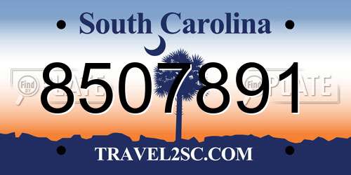 8507891 South Carolina License Plate