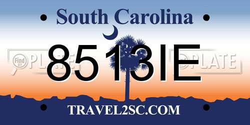 8513IE South Carolina License Plate