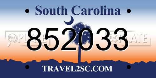 852033 South Carolina License Plate