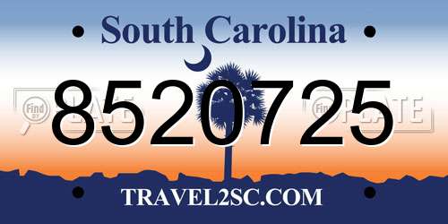 8520725 South Carolina License Plate