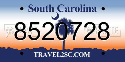 8520728 South Carolina License Plate
