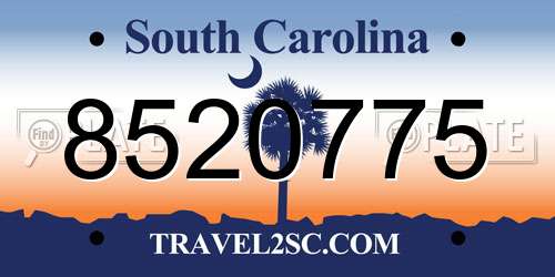 8520775 South Carolina License Plate