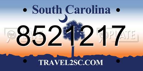 8521217 South Carolina License Plate
