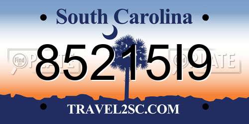 85215I9 South Carolina License Plate