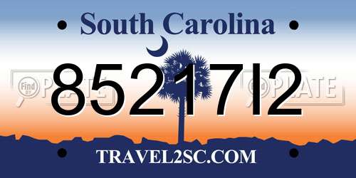 85217I2 South Carolina License Plate