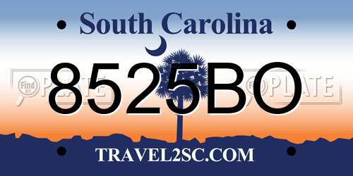 8525BO South Carolina License Plate
