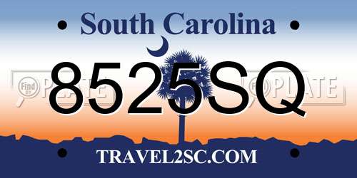 8525SQ South Carolina License Plate