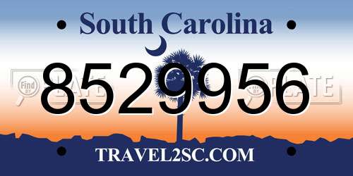 8529956 South Carolina License Plate