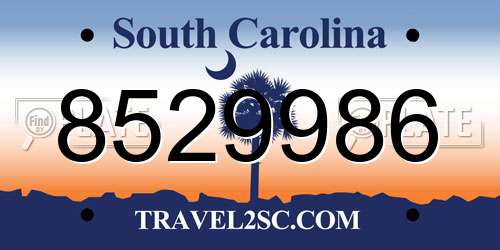 8529986 South Carolina License Plate
