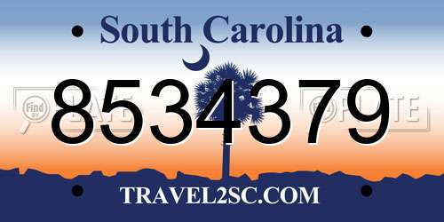 8534379 South Carolina License Plate