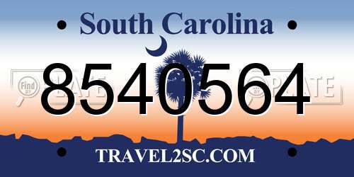 8540564 South Carolina License Plate