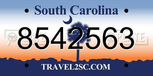 8542563 South Carolina License Plate