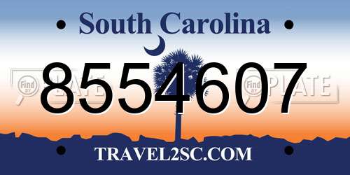 8554607 South Carolina License Plate