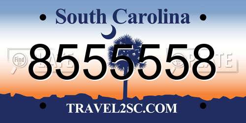 8555558 South Carolina License Plate