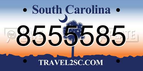8555585 South Carolina License Plate
