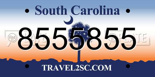 8555855 South Carolina License Plate