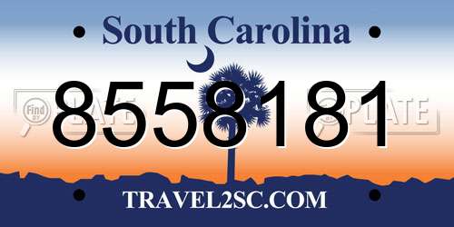 8558181 South Carolina License Plate