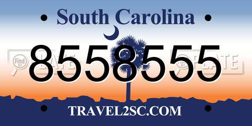 8558555 South Carolina License Plate
