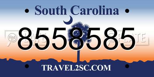 8558585 South Carolina License Plate