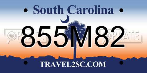 855M82 South Carolina License Plate