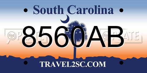 8560AB South Carolina License Plate