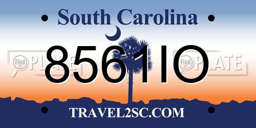 8561IO South Carolina License Plate