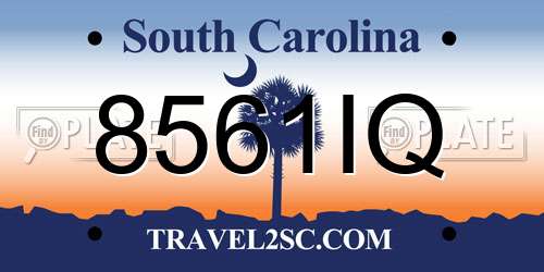 8561IQ South Carolina License Plate