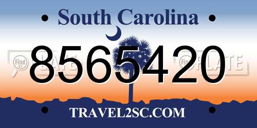 8565420 South Carolina License Plate