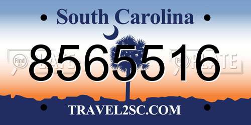 8565516 South Carolina License Plate