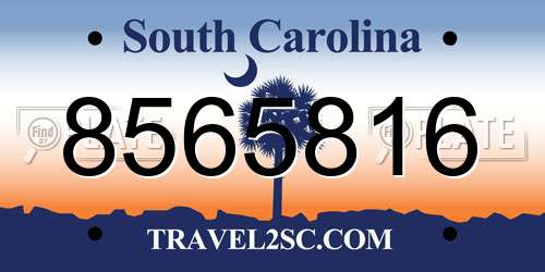 8565816 South Carolina License Plate