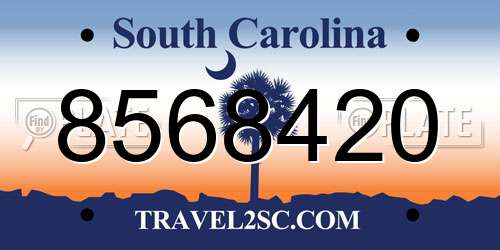 8568420 South Carolina License Plate