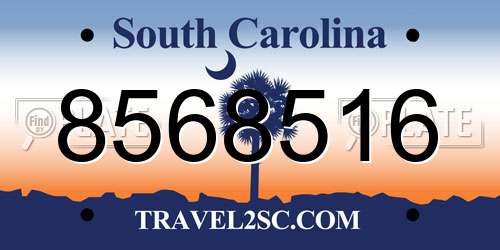 8568516 South Carolina License Plate