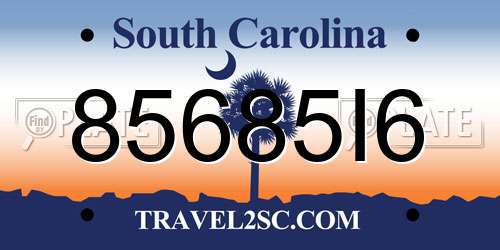 85685I6 South Carolina License Plate