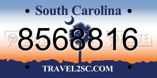 8568816 South Carolina License Plate