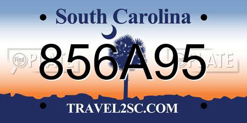 856A95 South Carolina License Plate