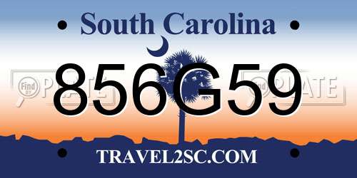 856G59 South Carolina License Plate