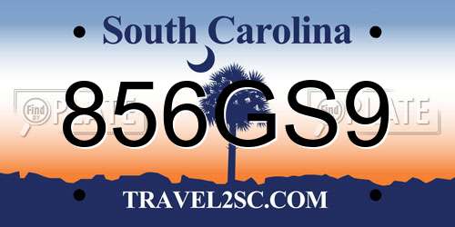 856GS9 South Carolina License Plate