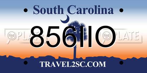 856IIO South Carolina License Plate
