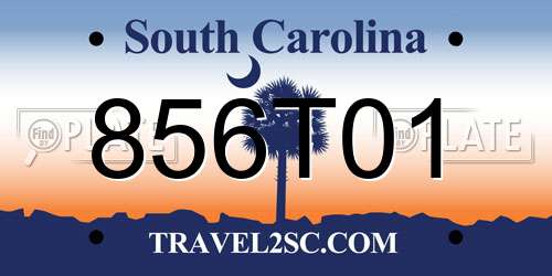856T01 South Carolina License Plate