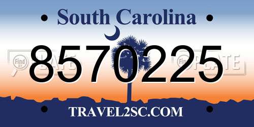 8570225 South Carolina License Plate