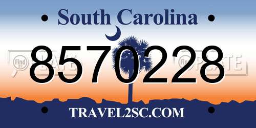 8570228 South Carolina License Plate