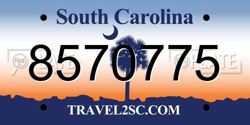 8570775 South Carolina License Plate