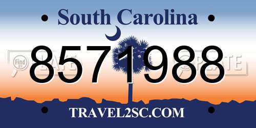 8571988 South Carolina License Plate