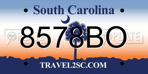 8578BO South Carolina License Plate