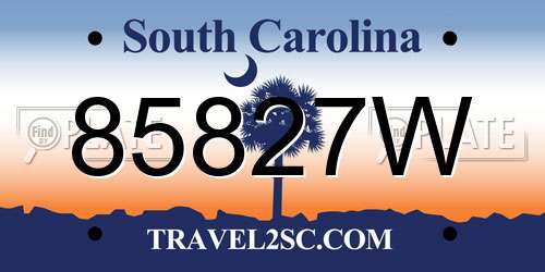85827W South Carolina License Plate