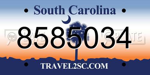 8585034 South Carolina License Plate