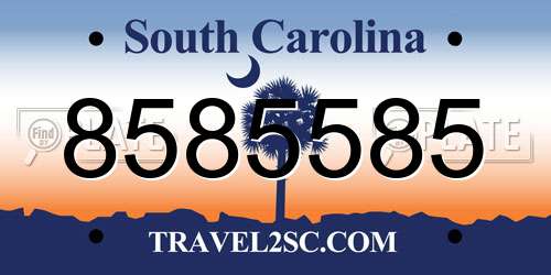 8585585 South Carolina License Plate
