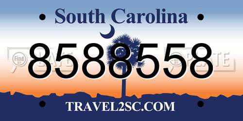 8588558 South Carolina License Plate