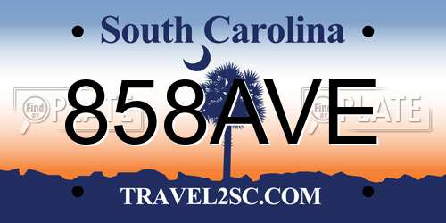 858AVE South Carolina License Plate