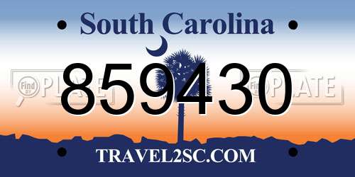 859430 South Carolina License Plate